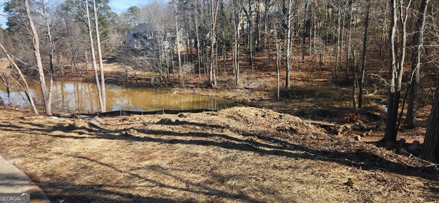 3728 Lake Vis, Douglasville, GA 30135