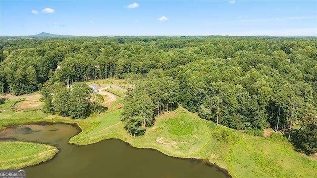 325 Lakeshore Rd, Milton, GA 30004