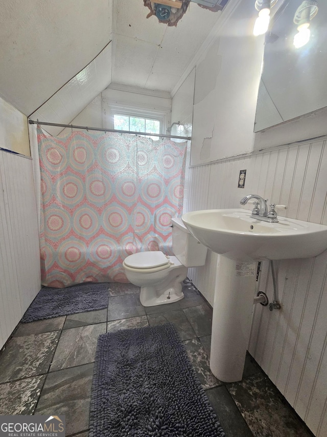 459 Stilson Rd, Brooklet, GA 30415 - full bath featuring toilet, vaulted ceiling, a wainscoted wall, ornamental molding, and a decorative wall