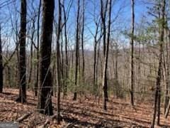 965 Old Parker Ter, Ellijay, GA 30540