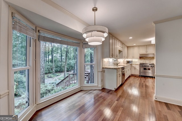 5507 Martina Way, Dunwoody, GA 30338 - kitchen featuring appliances with stainless steel finishes, light stone counters, plenty of natural light, crown molding, and recessed lighting