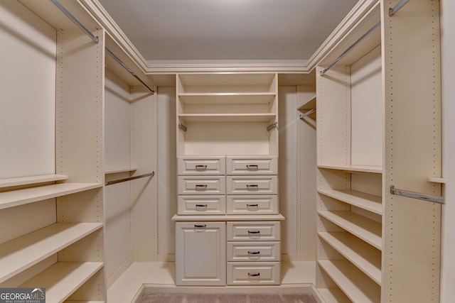 5507 Martina Way, Dunwoody, GA 30338 - view of walk in closet