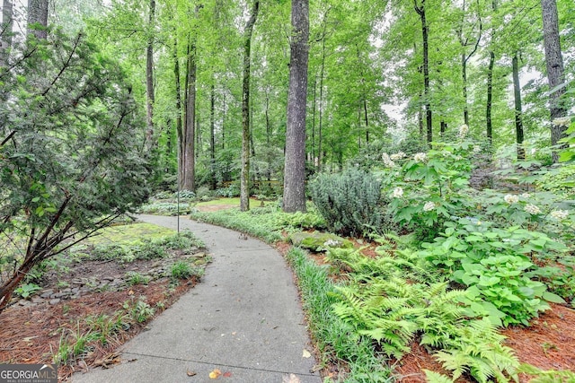5507 Martina Way, Dunwoody, GA 30338 - view of community with a forest view