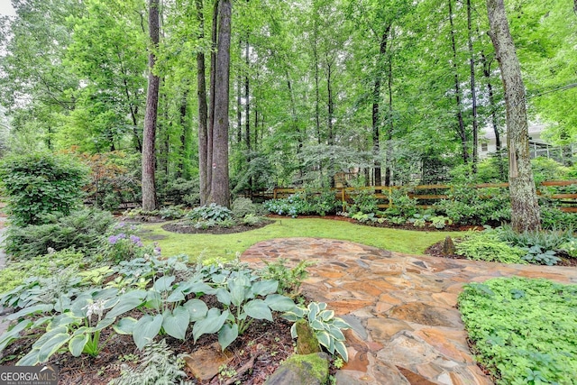 5507 Martina Way, Dunwoody, GA 30338 - view of yard