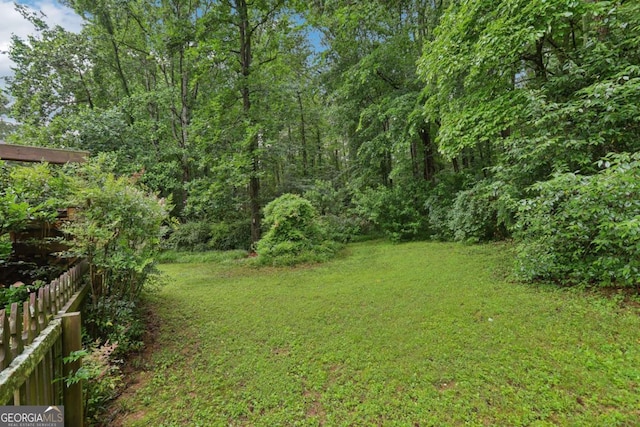 1369 Willowbrook Dr SW, Marietta, GA 30064 - view of yard