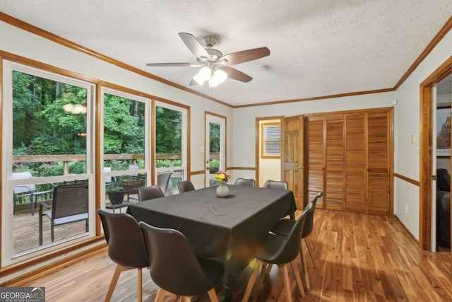 1369 Willowbrook Dr SW, Marietta, GA 30064 - dining room with light wood-style flooring, ceiling fan, a textured ceiling, and crown molding