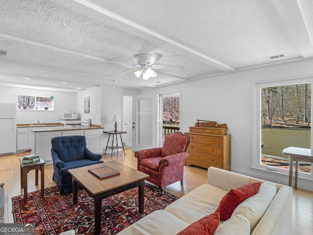 155 Summit View Rd, Jackson, GA 30233 - living room with healthy amount of natural light, a textured ceiling, light wood-style floors, and ceiling fan