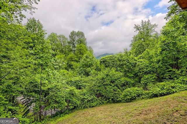 481 Georgianna Ln, Bryson City, NC 28713 - view of wooded area