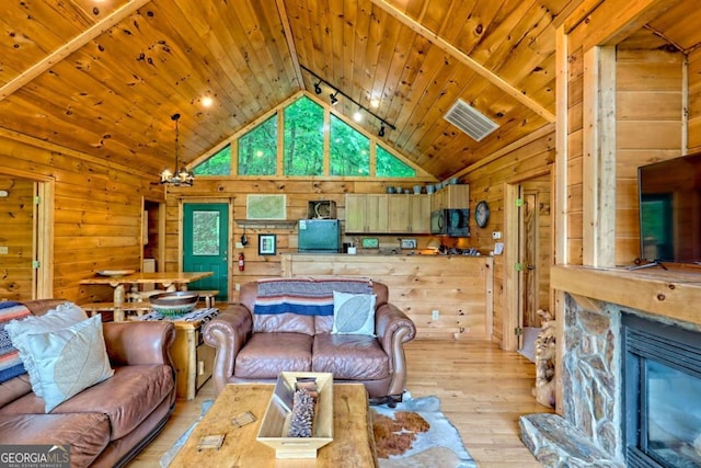 481 Georgianna Ln, Bryson City, NC 28713 - living area featuring track lighting, light wood-style floors, wood walls, wood ceiling, and a stone fireplace