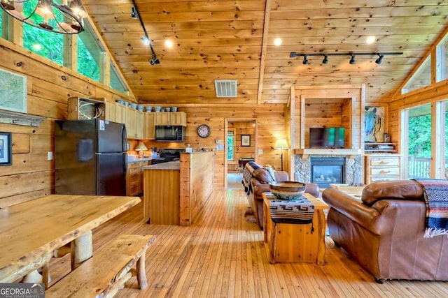 481 Georgianna Ln, Bryson City, NC 28713 - living area with track lighting, light wood finished floors, wooden walls, a stone fireplace, and wooden ceiling