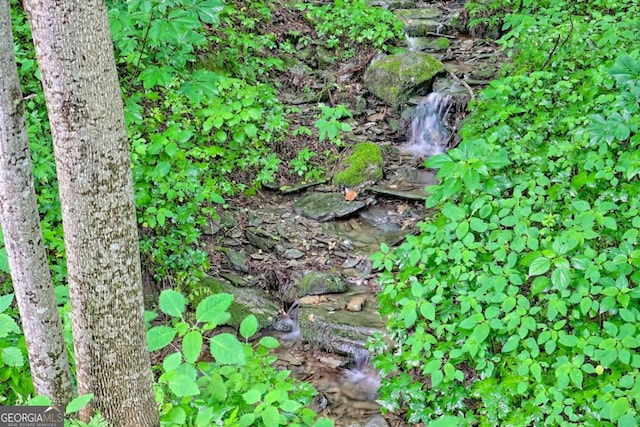 481 Georgianna Ln, Bryson City, NC 28713 - view of local wilderness
