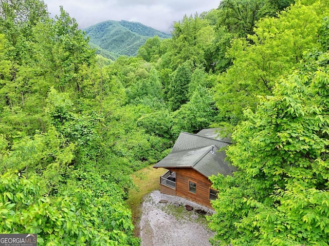 481 Georgianna Ln, Bryson City, NC 28713 - view of subject property featuring a heavily wooded area
