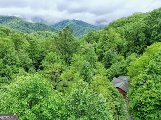 481 Georgianna Ln, Bryson City, NC 28713 - view of mountain backdrop with a forest