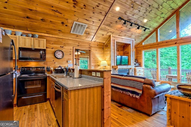 481 Georgianna Ln, Bryson City, NC 28713 - kitchen featuring black appliances, a sink, lofted ceiling, rail lighting, and a peninsula