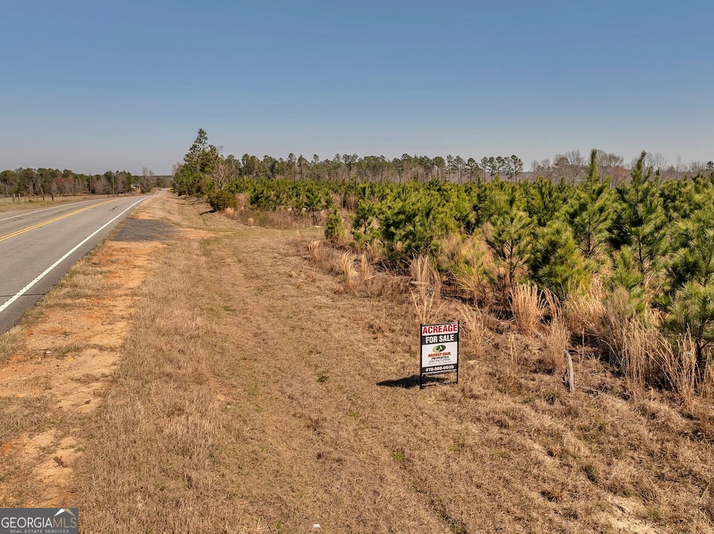 0 Ga Highway 319, Wrightsville, GA 31096