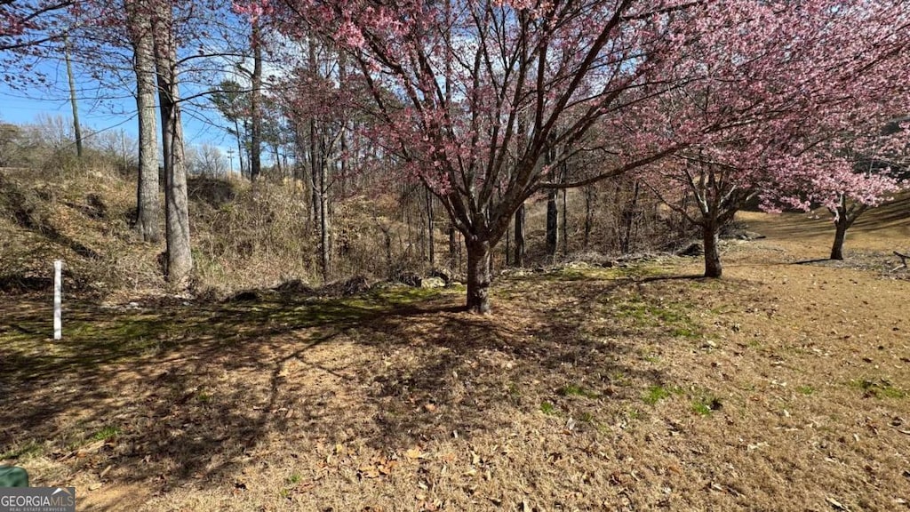 5204 Prestley Crossing Ln, Douglasville, GA 30135