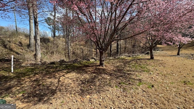 5204 Prestley Crossing Ln, Douglasville, GA 30135