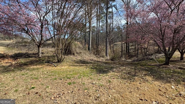 5204 Prestley Crossing Ln, Douglasville, GA 30135