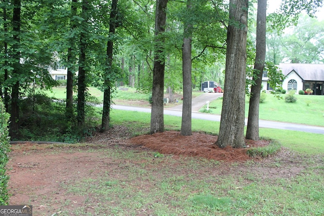 1408 Wyndham Way, Bethlehem, GA 30620 - view of green lawn