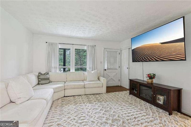 3351 Landrum Dr SE, Smyrna, GA 30082 - living room featuring a textured ceiling and wood finished floors