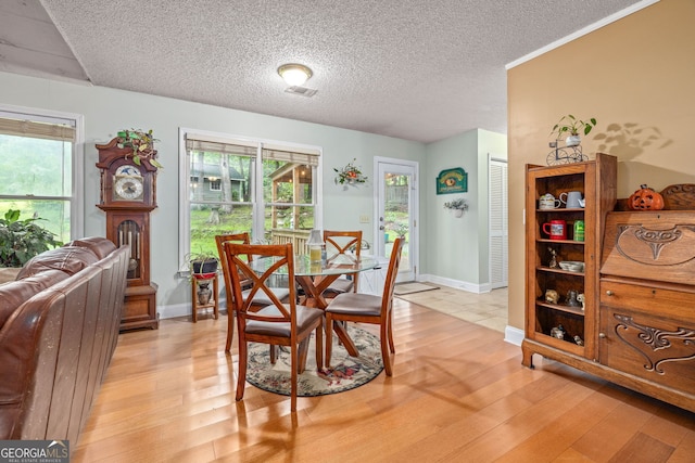 1526 Oakleaf Dr, Auburn, GA 30011 - dining room with light wood-style floors, healthy amount of natural light, a textured ceiling, and baseboards