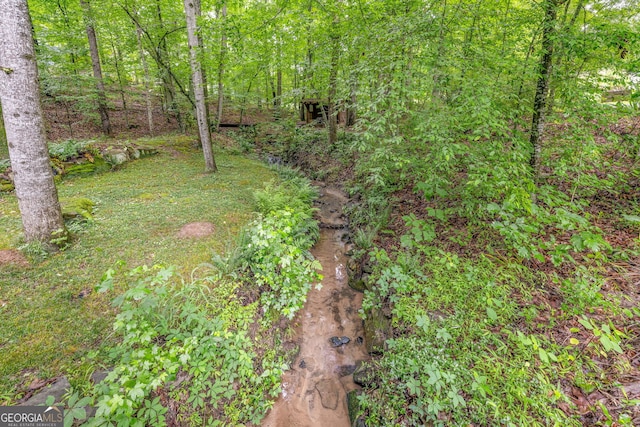 1526 Oakleaf Dr, Auburn, GA 30011 - view of yard featuring a forest view