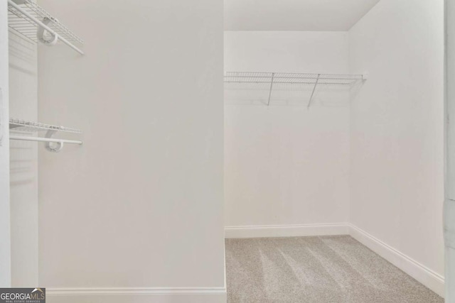 1245 Ladd St SW, Atlanta, GA 30310 - spacious closet with carpet flooring