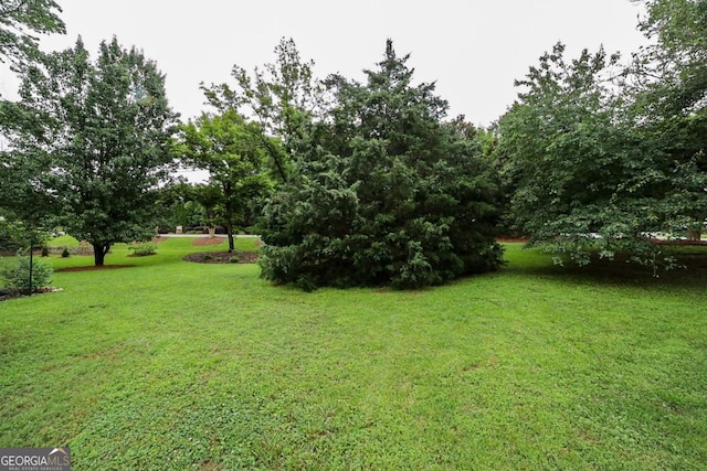 1010 Calls Creek Cir, Watkinsville, GA 30677 - view of green lawn
