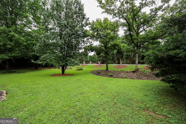 1010 Calls Creek Cir, Watkinsville, GA 30677 - view of green lawn