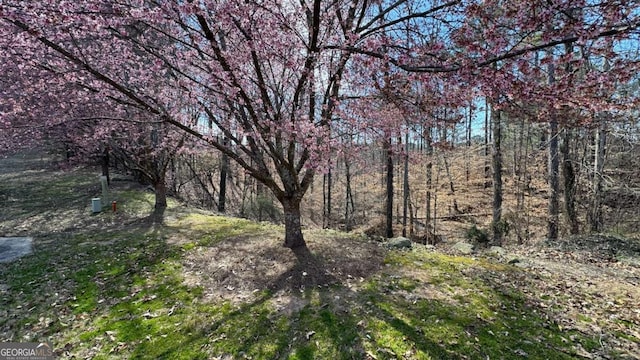 5209 Prestley Crossing Ln, Douglasville, GA 30135