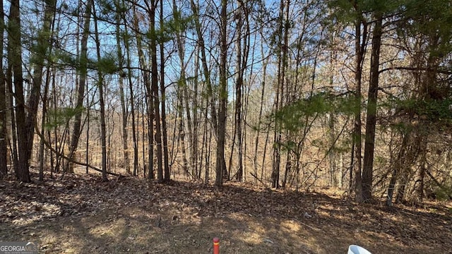 5209 Prestley Crossing Ln, Douglasville, GA 30135