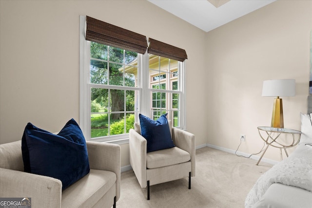 10 Wigwam Cir, Whitesburg, GA 30185 - living area with light colored carpet and baseboards