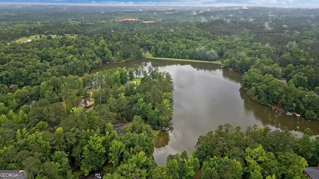 10 Wigwam Cir, Whitesburg, GA 30185 - aerial overview of property's location with a large body of water and a forest