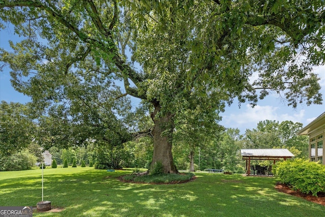10 Wigwam Cir, Whitesburg, GA 30185 - view of grassy yard