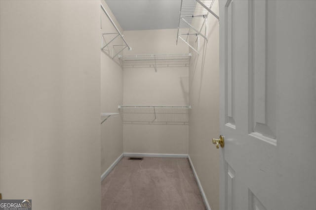 10 Wigwam Cir, Whitesburg, GA 30185 - walk in closet featuring carpet flooring