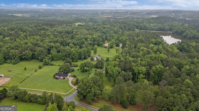 10 Wigwam Cir, Whitesburg, GA 30185 - aerial view of property's location featuring a forest and a large body of water