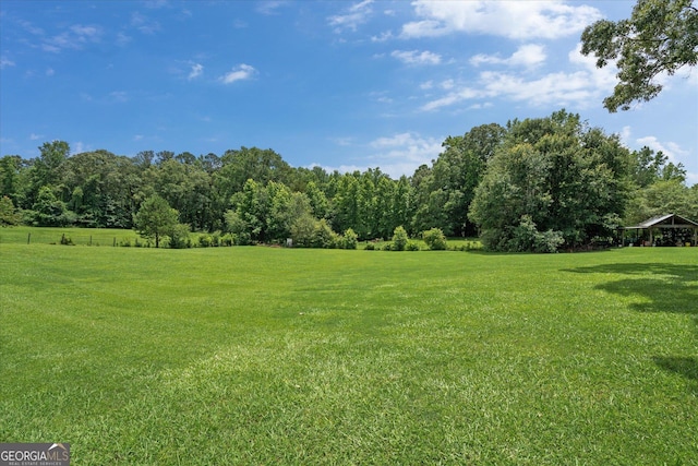 10 Wigwam Cir, Whitesburg, GA 30185 - view of green lawn