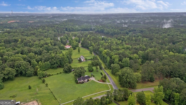 10 Wigwam Cir, Whitesburg, GA 30185 - aerial overview of property's location featuring a heavily wooded area