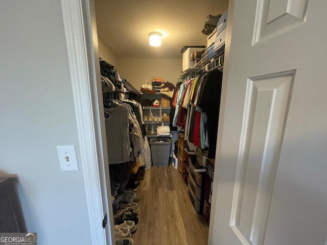 2165 Milledge Dr S Unit B6, Athens, GA 30605 - walk in closet with wood finished floors