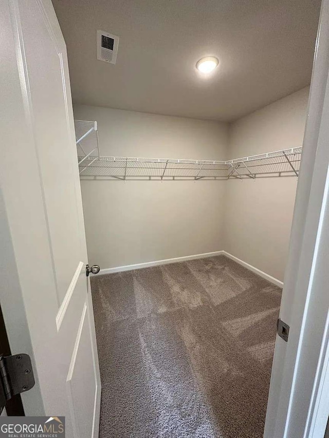 2832 Saratoga Lake Vw, Decatur, GA 30034 - spacious closet featuring carpet floors