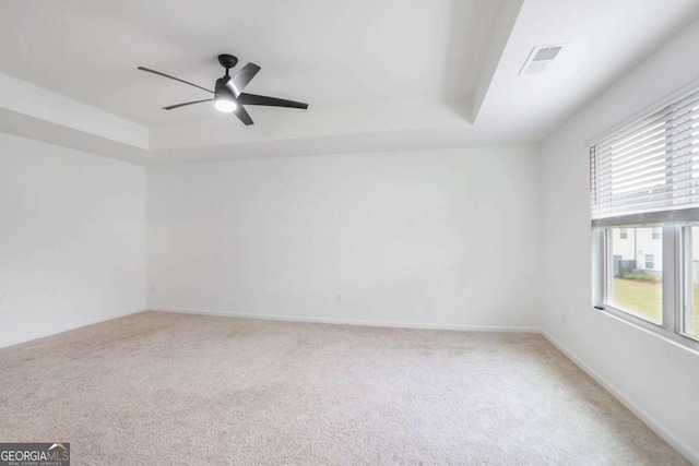 3848 Hester St, Duluth, GA 30097 - unfurnished room with a raised ceiling, healthy amount of natural light, and light colored carpet