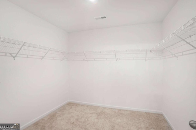 3848 Hester St, Duluth, GA 30097 - spacious closet featuring light colored carpet