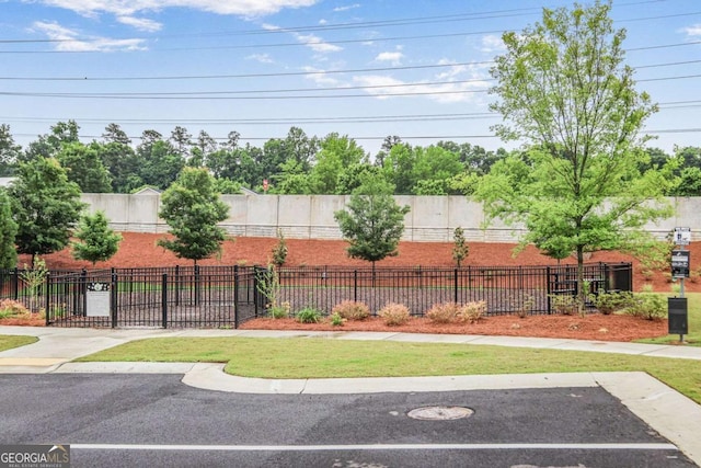 3848 Hester St, Duluth, GA 30097 - view of yard