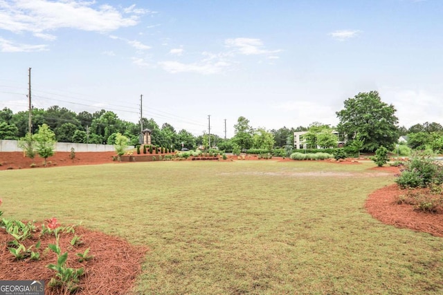 3848 Hester St, Duluth, GA 30097 - view of green lawn