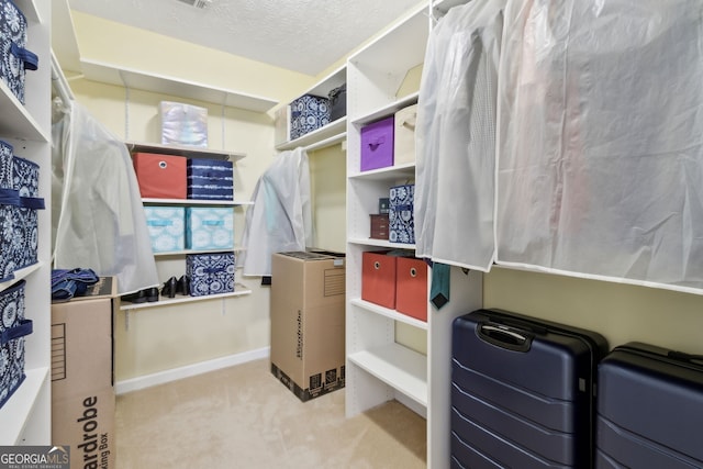 570 White Stag Ct, Suwanee, GA 30024 - spacious closet with carpet