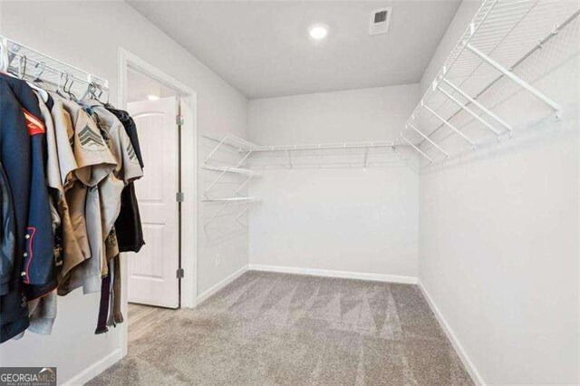 382 Daffodil Dr, Temple, GA 30179 - spacious closet with carpet floors