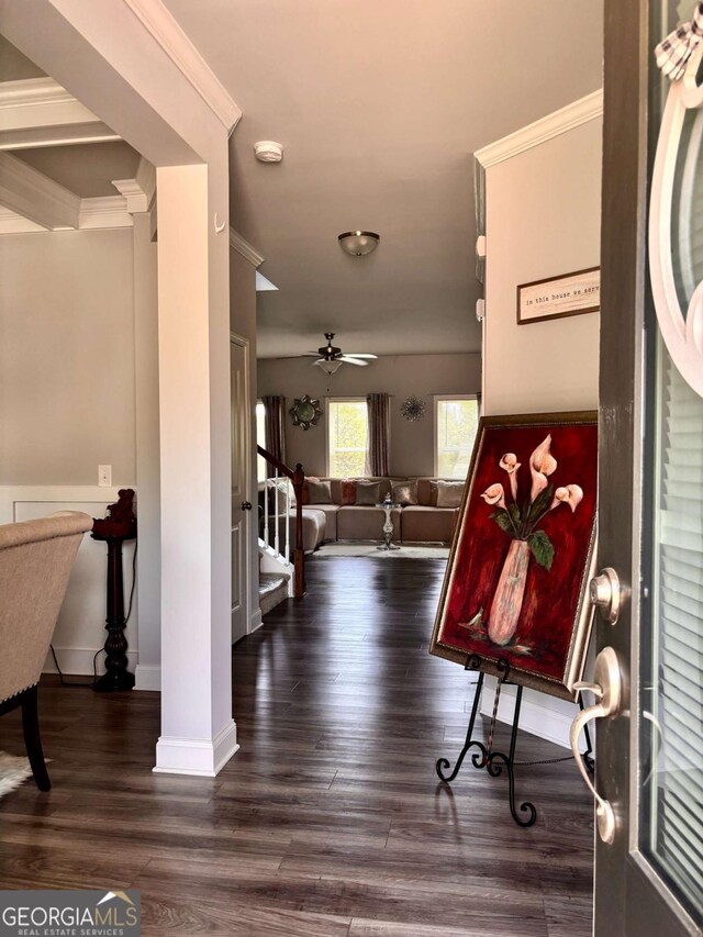 38 Lavender Ct, Dallas, GA 30132 - foyer with a ceiling fan, wood finished floors, and ornamental molding