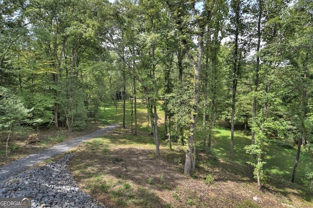 968 Hidden Valley Dr, Morganton, GA 30560 - view of road with a view of trees