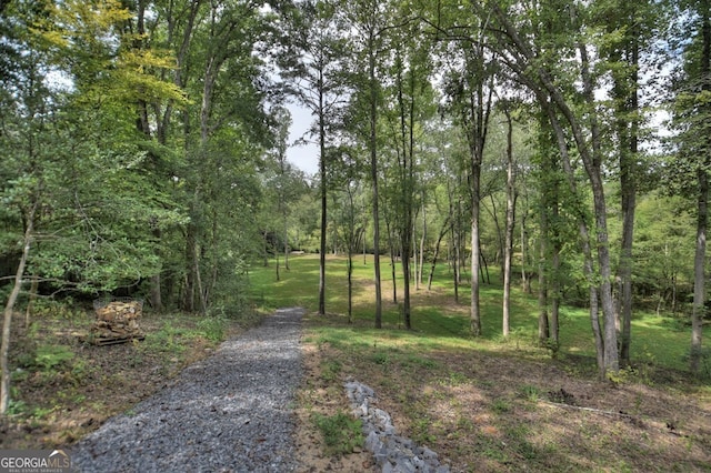 968 Hidden Valley Dr, Morganton, GA 30560 - view of road