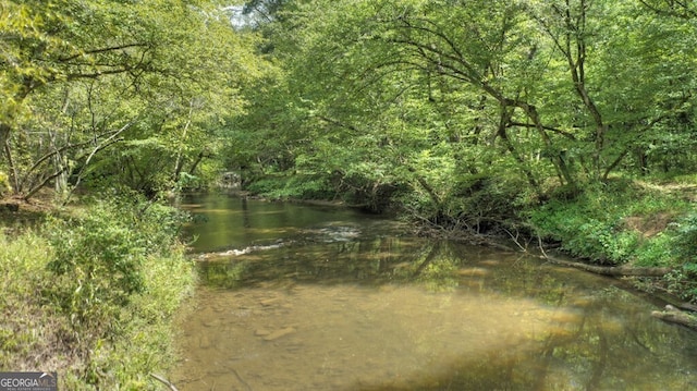 968 Hidden Valley Dr, Morganton, GA 30560 - water view featuring a heavily wooded area